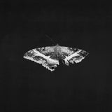 Kendrick Lamar - To Pimp A Butterfly (Limited Edition) [2LP] - Metallic Blends