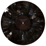 Kendrick Lamar - To Pimp A Butterfly (Limited Edition) [2LP] - Metallic Blends