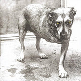 Alice In Chains - Alice In Chains (30Th Anniversary Reissue) [2LP] - Yellow