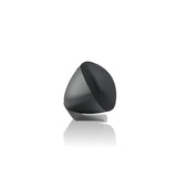 Bowers & Wilkins Zeppelin Pro Edition - Space Grey