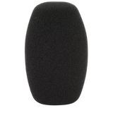 Sennheiser MZW 1