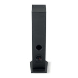 Focal Theva N2 (Black. Dark Wood. Light Wood)