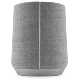 Harman Kardon Citation 300 - Grey