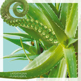 LATEXFAUNA - Ajahuaska. Season 1/2 (Remastered)  [2LP] - Signed
