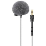 Sony ECM-L1