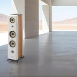 Focal KANTA 3 White High Gloss / White Mat