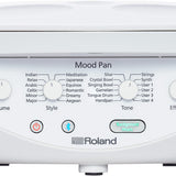 Roland MN10