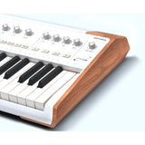 Arturia AstroLab 61 + V Collection X