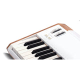 Arturia AstroLab 61 + V Collection X