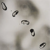 Peter Gabriel - Up [2LP]