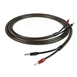 CHORD EpicX Speaker Cable Ban-Ban Pair 2.5m