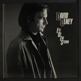 David Olney - Eye Of The Storm [LP]