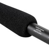 Audio-Technica AT875R