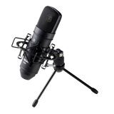 Tascam TM-80 - Black