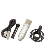 Tascam TM-80 - Silver