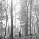 Taylor Swift - Folklore [2LP] - Brown