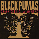 Black Pumas - Chronicles Of A Diamond (Limited Edition) [LP] - Coloured